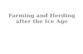 Farming  and Herding after the Ice Age