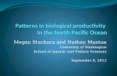 Patterns in biological productivity  in  the North Pacific Ocean