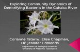 Exploring Community Dynamics of Denitrifying Bacteria in the Cahaba River