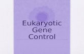Eukaryotic Gene Control