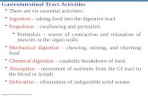 Gastrointestinal Tract Activities