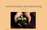 Soil Formation and Weathering