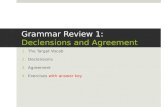 Grammar Review 1: Declensions and Agreement
