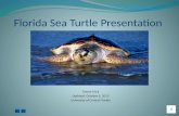 Florida Sea Turtle Presentation
