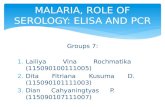 MALARIA, ROLE OF SEROLOGY: ELISA  AND  PCR