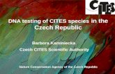 DNA testing of CITES species in the Czech Republic