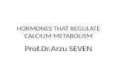 HORMONES THAT REGULATE CALCIUM METABOLISM