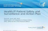 Health IT Patient Safety and Surveillance and Action Plan
