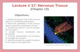 Lecture #  17: Nervous Tissue