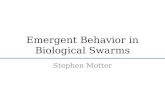 Emergent Behavior in Biological Swarms