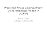 Predicting  Kinase  Binding Affinity Using Homology Models in CCORPS