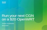 Run your next CGN  on a $20  OpenWRT