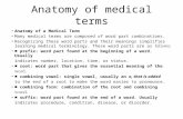 Anatomy of medical terms