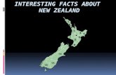 Interesting Facts about  New Zealand