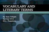 Vocabulary and literary terms