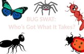 BUG SWAT:  Who’s Got What It Takes?