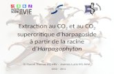Extraction au CO 2  et au CO 2  supercritique d’harpagoside à partir de la racine d’ Harpagophyton