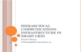 Hierarchical Communications Infrastructure in Smart Grid