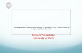 Elena D’Alessandro University  of  Turin