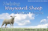 Lesson  7: The Prize of Patience  (Hebrews 12:1-16)