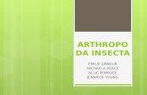 ARTHROPODA INSECTA