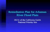 Remediation Plan  for Arkansas River Flood Plain