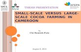 SMALL-SCALE  VERSUS  LARGE-SCALE  COCOA  FARMING  IN CAMEROON