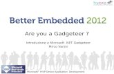 Are  you  a  Gadgeteer  ?