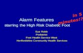 Alarm Features  starring the High Risk Diabetic Foot