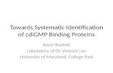Towards Systematic Identification of  cdiGMP  Binding Proteins
