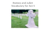Romeo and Juliet  Vocabulary for Act 5