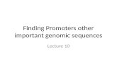 Finding Promoters other important genomic sequences