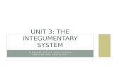 Unit 3: the Integumentary System