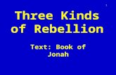 Three Kinds of Rebellion