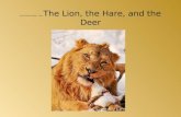 The Lion, the Witch, and the-……I mean   The Lion, the Hare, and the Deer