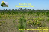 Balu  Forest Management Plan