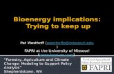 Bioenergy  implications:  Trying to keep up