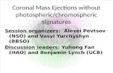 Coronal Mass Ejections without  photospheric / chromospheric  signatures