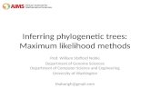 Inferring phylogenetic trees: Maximum likelihood methods