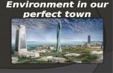 Environment in our perfect town