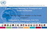 Expert Group Meeting on Transport and Trade  facilitatio n