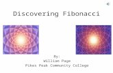 Discovering Fibonacci