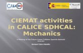 CIEMAT  activities  in Calice SDhCAL :  Mechanics