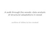 A walk through the woods: data analysis of structural adaptations in wood