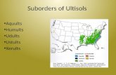 Suborders of  Ultisols