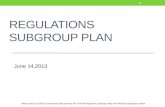 Regulations Subgroup Plan