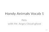 Handy Animals Vocab 1