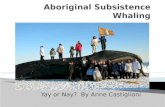 Aboriginal Subsistence Whaling