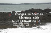 Changes in Species Richness with Elevation