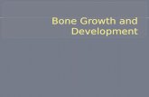 Bone Growth and Development
